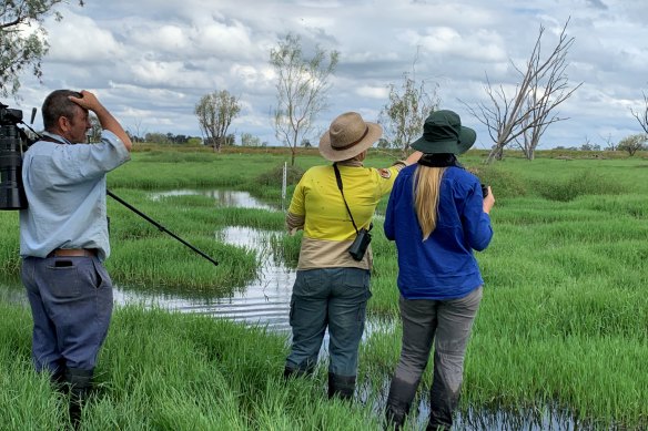 Researches surveying the Gwydir wetlands in northern NSW.