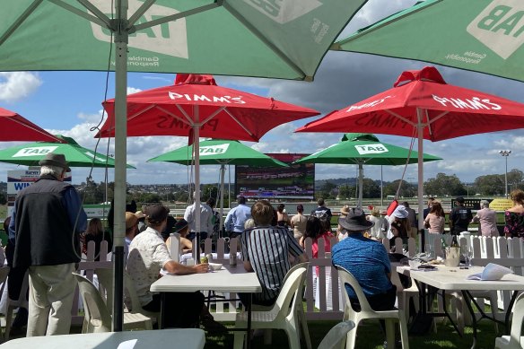 Punters watch the 2021 Melbourne Cup on the big screen at Clifford Park Racecourse in Toowoomba.