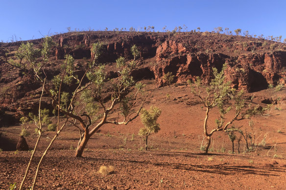 The view from a rock shelter excavated by the Eastern Guruma people in the path of an expansion of Fortescue’s Solomon Hub.