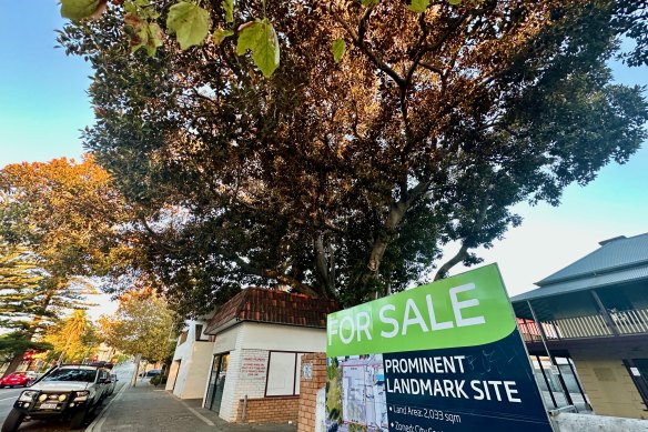 The owner is trying to sell her land and believes the tree is standing in her way.