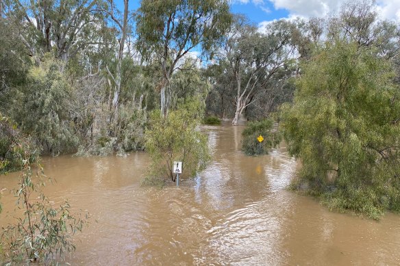 Flooding of the Murray River near Echuca last month. The Murray was expected to peak at Wakool Junction on Tuesday.