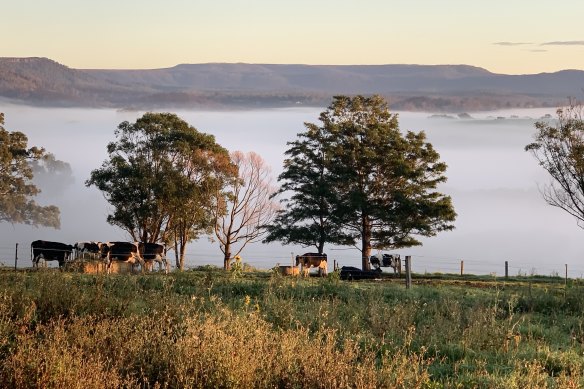 NSW farmer Rob Miller has been working to protect the unique environment on his land for 20 years, and has seen huge benefits. 