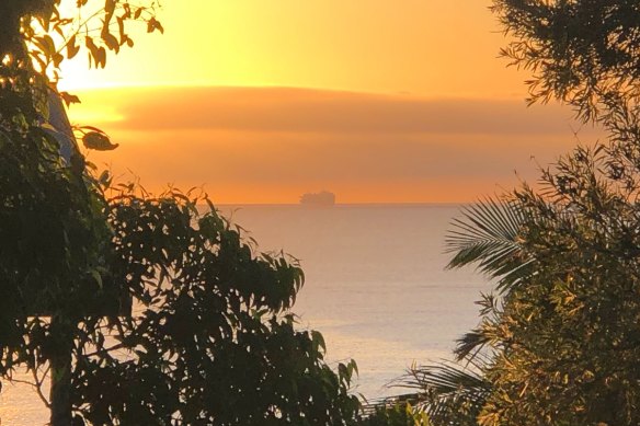 The Ruby Princess floating off Copacabana on the Central Coast as the sun rose on Tuesday morning.