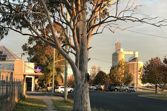 The town of Coonamble, home of  the famous Coonamble Rodeo and Campdraft.