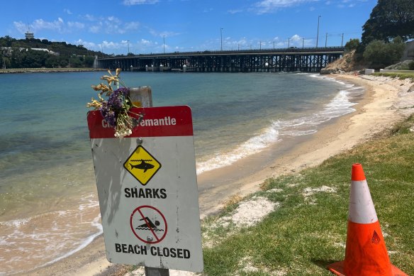 Shark attack: Bull shark responsible for death of Stella Berry