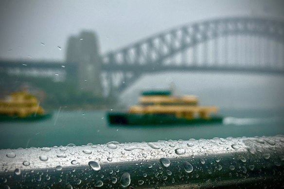 Sydney can’t stand the rain. 