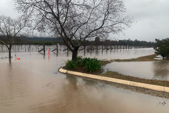 Lisa Margan’s Hunter Valley winery and restaurant has been impacted by the floods.