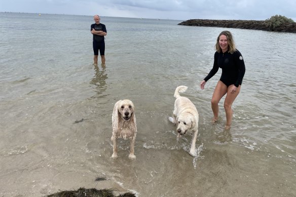 Kate Halfpenny with husband Chris, their Groodle Maggie and a local canine friend.