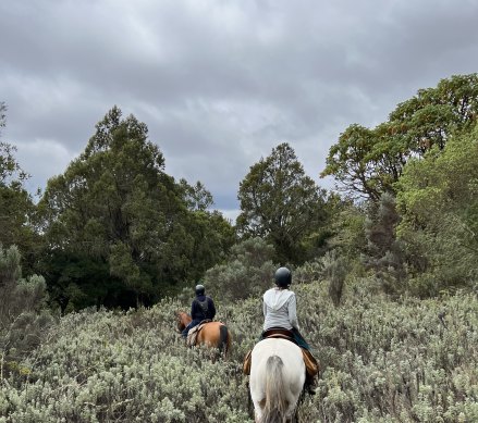 Tackling the terrain.