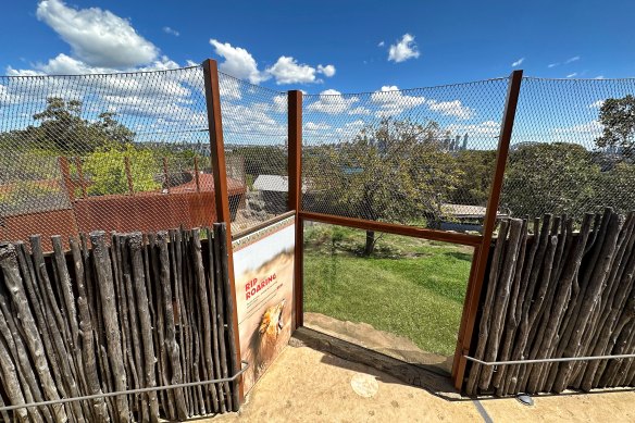 A failure of fastenings on the mesh wire fence may have been how five lions made their escape.