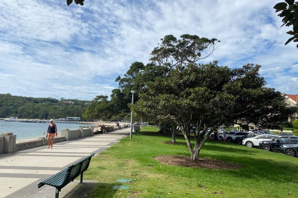 Vandalised trees at Balmoral 