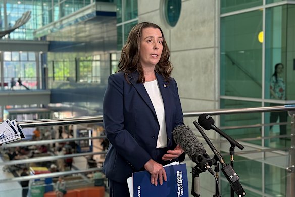 AMA federal president Dr Danielle McMullen said the report confirmed public hospital systems “remains stretched beyond its limits”. 