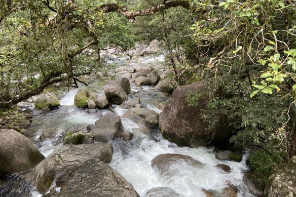 Mossman Gorge, part of Daintree National Park, will be formally returned to the Kuku Yalanji people.