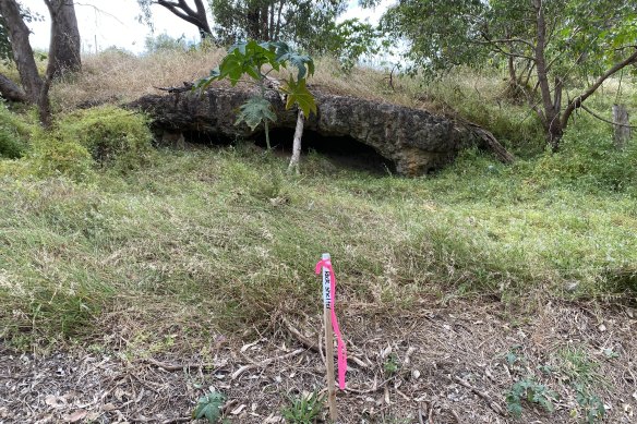 A rock shelter at Helena River.