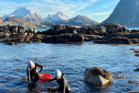 Foraging for our dinner accompaniment… seaweed.