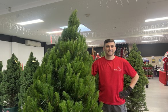 Robert D’Arrigo of Merlino’s Christmas Trees says real trees have been far more popular since the COVID-19 lockdowns.