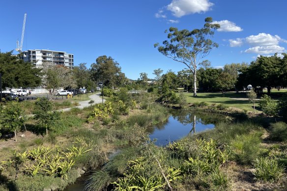 Norman Creek at Hanlon Park at Stones Corner has been transformed from a concrete drain to a flood-resilient park.