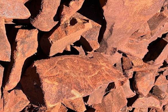 A petroglyph of a spotted quoll, in Murujuga.