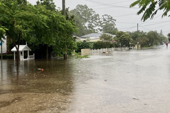 Experts believe much of the water that inundated suburbs such as Chelmer was stormwater runoff, rather than water coming up from the Brisbane River, which was held at bay by backflow prevention devices.