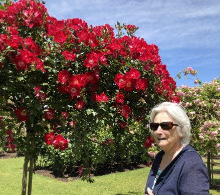 Bethia Stevenson at the State Rose Garden, Werribee, 2019.