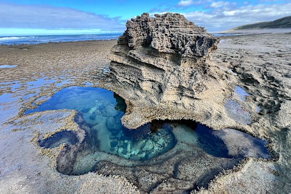 Point Lonsdale rock pool, Bellarine Peninsula.