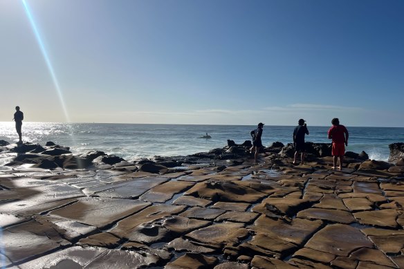 Rescuers at North Avoca Beach search for the missing boy on Wednesday morning.