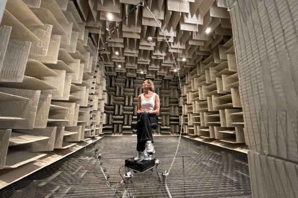The journalist inside the anechoic chamber at Apple.