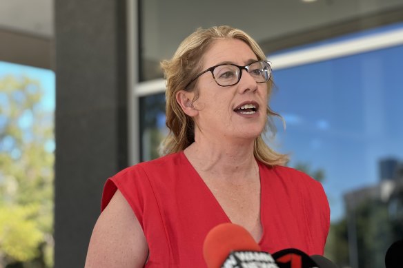 Treasurer Rita Saffioti speaking with media today.