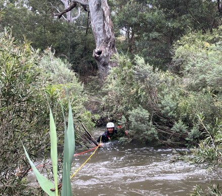 Water Police Acting Sergeant Justin Ivory holds onto the tree where Madi and Minka sought refuge.