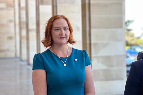 Prevention of Family and Domestic Violence Minister Jess Stojkovski.