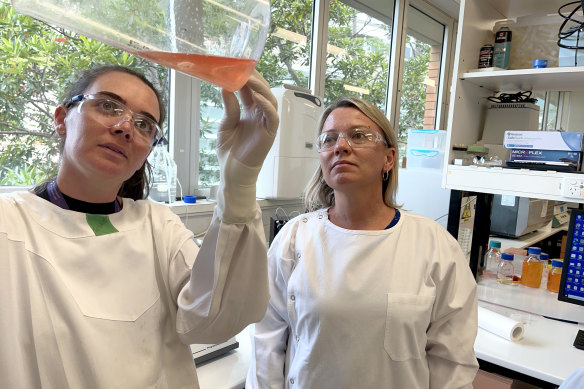 UQ’s Dr Jody Hobson-Peters (right) and her colleagues have developed a new vaccine against Japanese encephalitis virus in pigs.