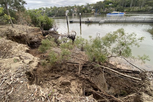 Erosion is a growing problem at UQ’s CityCat stop, so any electric ferries will have to be “low-wake”.