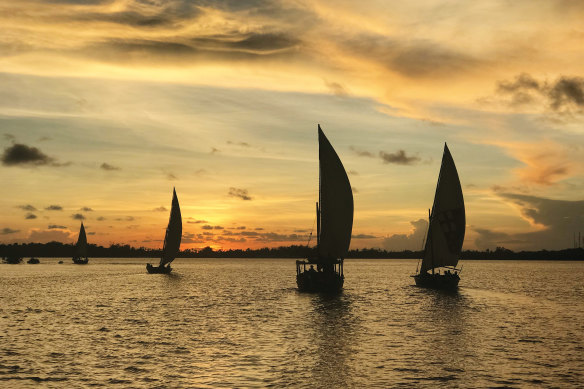 Dhow sailboats at sunset in Lamu Island, Kenya.