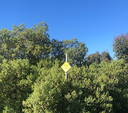 This sign - along the river near Scienceworks in Spotswood - never fails to make me laugh.