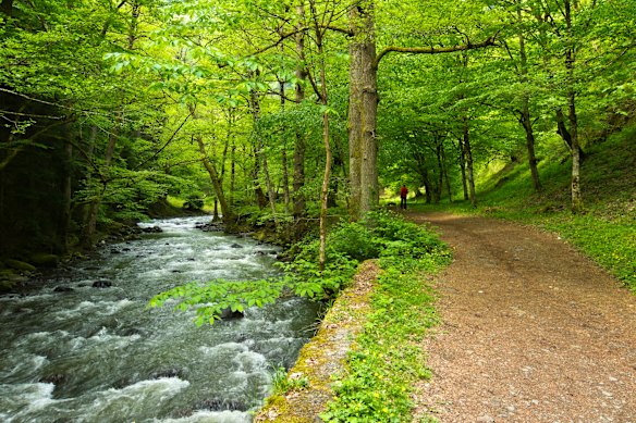 Hiking through Borjomi Gorge.