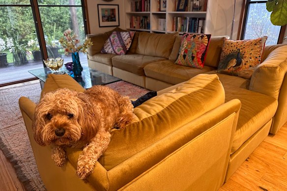 The classic Moran sofa, reinvented for today.