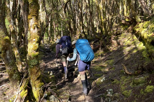 The Overland track winds for six days through extraordinary landscapes in Tasmania’s north-west. 