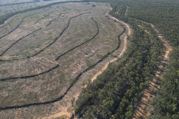 Land clearing at Cuttabri in north-western NSW. Image taken in 2023.