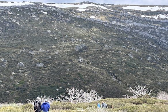 Some of the old boys set off to hike the high wilderness beyond Guthega. 