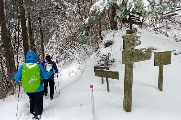 Walkers take on track in snow conditions.
