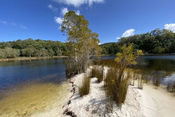 Great Sandy National Park.