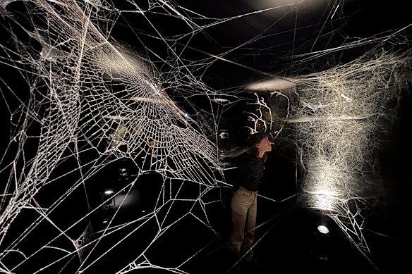 Installation view at Tomás Saraceno in Collaboration: Web(s) of Life, Serpentine Gallery, London, 2023.