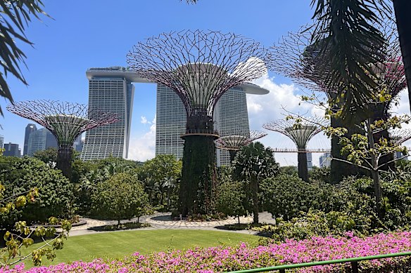 Marina Bay Sands Hotel - with Gardens by the Bay's Supertree Grove.