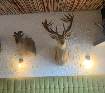 Se as paredes falassem: Restaurante Cazador & Delicatessen.