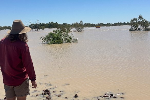 Sam Rigloa, a staff member with Wrightair, looking at the flooded area at Innamincka Station in north-east South Australia