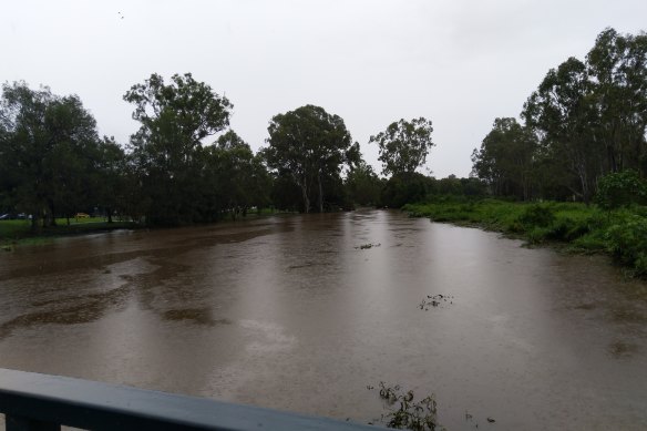 Bulimba Creek has flooded in Brisbane.