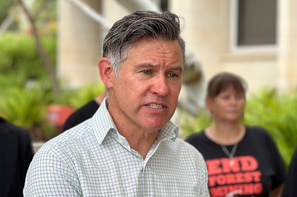 Greens leader Brad Pettitt.