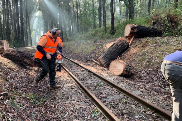 Trees seen over the Puffing Billy train tracks at Selby-Aura Road, Selby after severe storm damage.