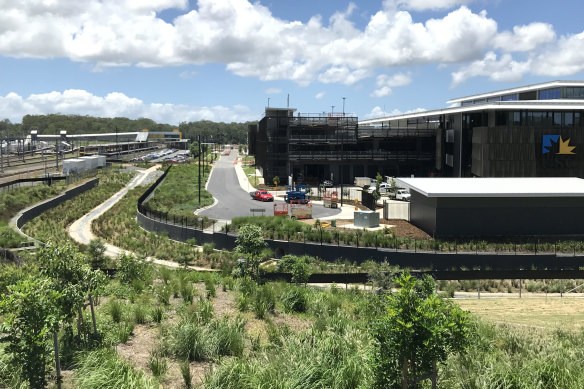 City Deal funding has been withdrawn from a proposed mixed-use development at the University of the Sunshine Coast campus at Petrie (above).