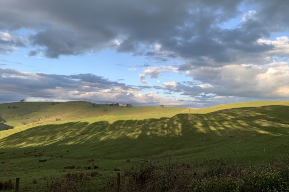 I live out in regional Victoria and I am so lucky and grateful to have views like these on my walk up and down my road.